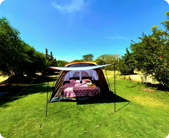 Dome House Tent