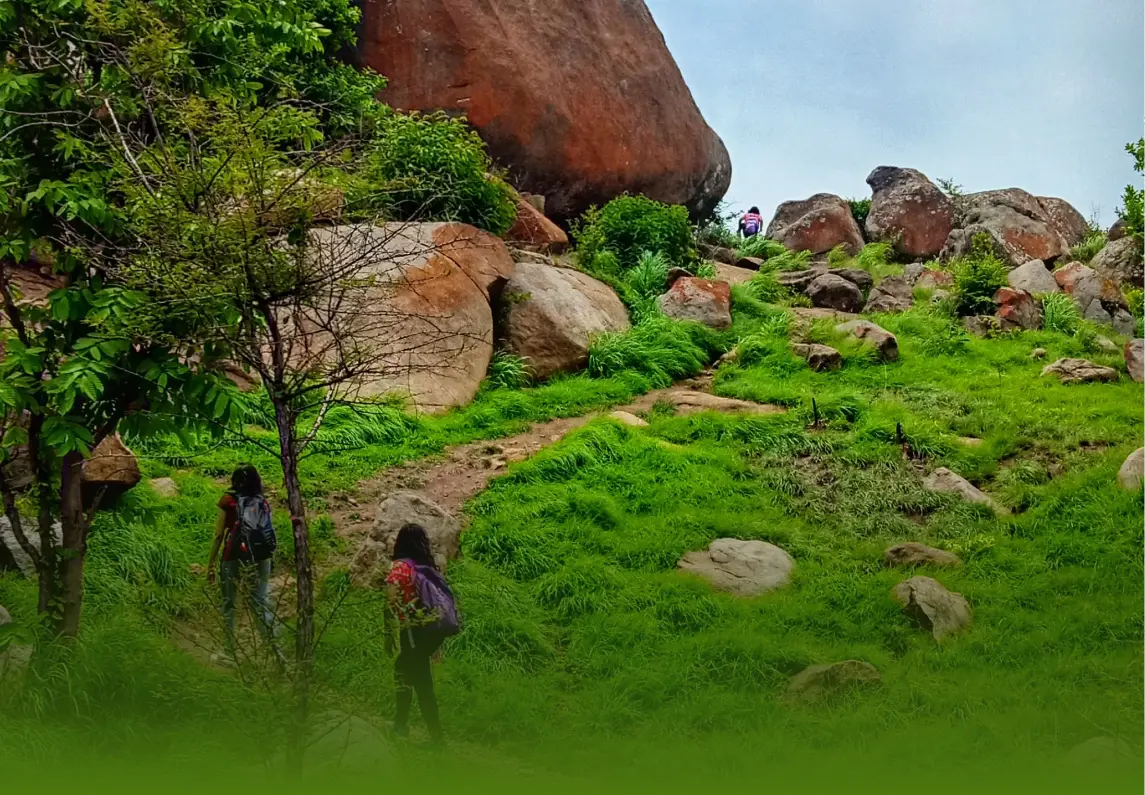 Trekking